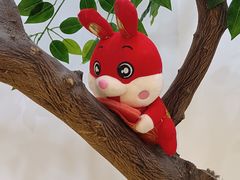 -真爱吐司(龙湖店)