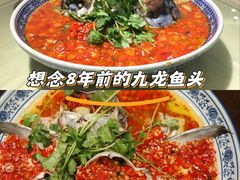 -湘潭九龙鱼头店(城南西路店)