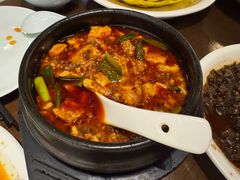 金牌麻辣豆腐-陈麻婆豆腐总店