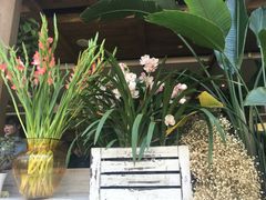 -春暖花开(西溪店)