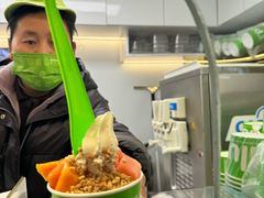 -Salud撒露欧洲冻酸奶(蓝色港湾店)