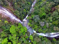 -九龙江国家森林公园