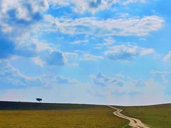 -塞罕坝国家级自然保护区