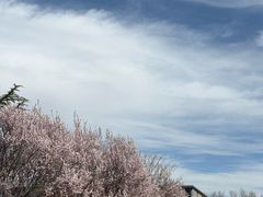 -中关村生命科学园