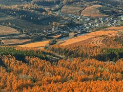 -帽儿山国家森林公园