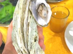 -蚝专家(北滘店)