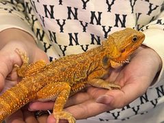 -FAIRYLAND龙族星球主题餐厅(凯丹广场店)