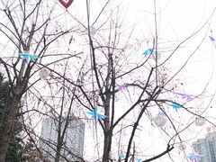 -观音桥步行街