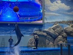 -福州罗源湾海洋世界旅游区