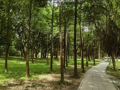 -深圳湾公园(南山区)