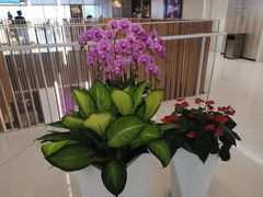 店内环境-上海世茂广场(南京东路店)