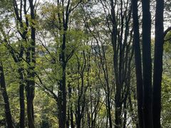 -火炉山森林公园