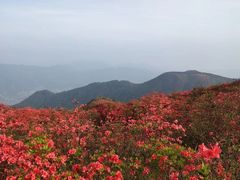 -瑞安圣井山景区