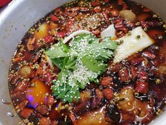 -晓彭肥肠鸡·泡椒鸡火锅(水木天地店)