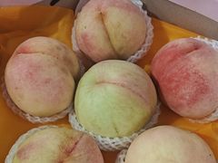 -南汇水蜜桃采摘(大团店)