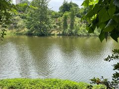 -重庆长寿碧桂园凤悦凤凰酒店