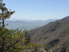 -牛背梁国家森林公园