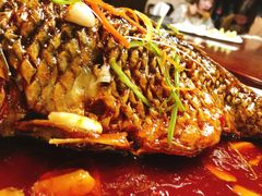 -津菜宋记老房子(鼓楼店)
