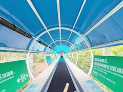 -盈香心动乐园