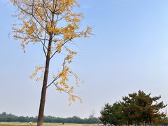 -汉长安城未央宫国家考古遗址公园