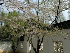 -苏州上方山国家森林公园