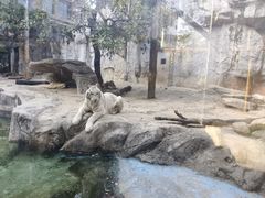 -灵玲国际马戏城