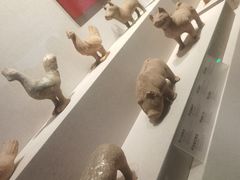 -四川宋瓷博物馆