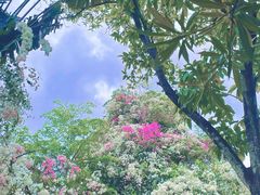 -深圳国际园林花卉博览园