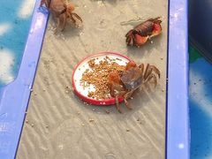 -金轮星光名座生活广场