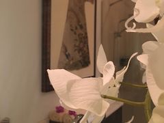 -Dragonfly悠庭·按摩Spa(静安嘉里中心店)
