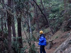 -南山风景名胜区