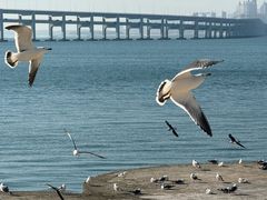 -星海广场