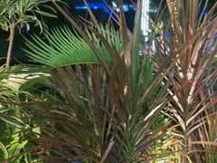 -木屋烧烤(坂田天安云谷店)