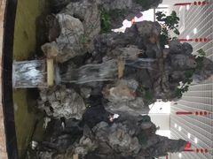-双喜农庄·菌香园(安居家园店)