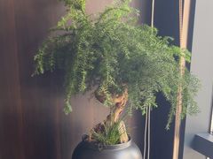 -大拙里·精致融合菜(沙湖桃源国际店)