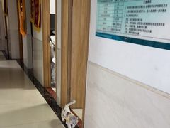 -乐琪宠物医院·犬猫专科·骨外科·急重症