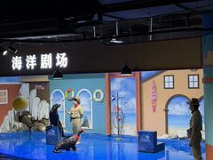-重庆欢乐海底世界