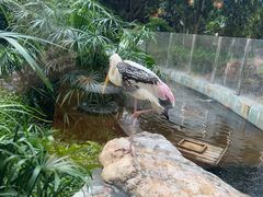-熊猫自助餐厅.萌趣城堡(长隆熊猫酒店)