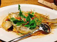 清蒸黄鱼-潮中人·潮州菜(益乐路店)