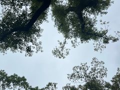 -徐家汇源景区-衡山公园