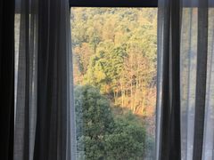 -三江森林温泉度假区