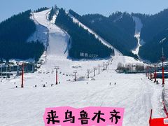 -22号传承新疆菜·柴窝堡辣子鸡