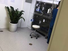 -喜多萌中农锦绣动物医院24H·猫科·牙科MRI·CT