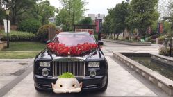 -畅步婚车(浦东店)