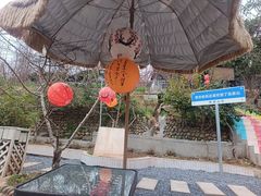 -桃源山庄·水蜜桃采摘·柴火鸡·烧烤团建(龙泉山店)