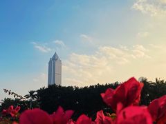 -万绿园