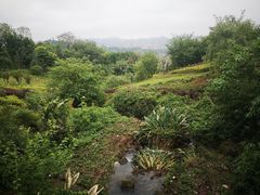 -金海湾滨江公园