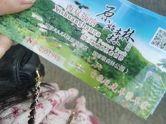 -西双版纳原始森林公园