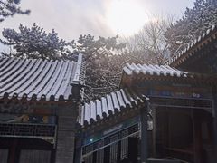 -香山公园