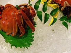 枸杞菊花醉六月黄-蟹榭·本帮江浙菜·蟹宴(五角场合生汇商场店)